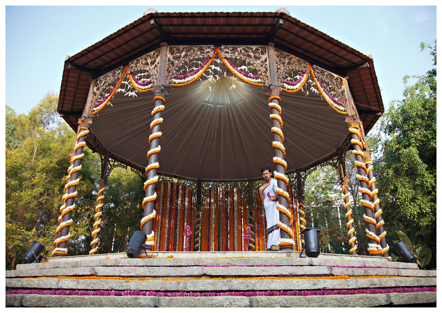 The Tamarind Tree